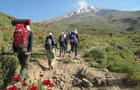 تیم کوهنوردی گلدیران بام ایران را فتح کرد